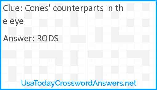 Cones 39 Counterparts In The Eye Crossword Clue