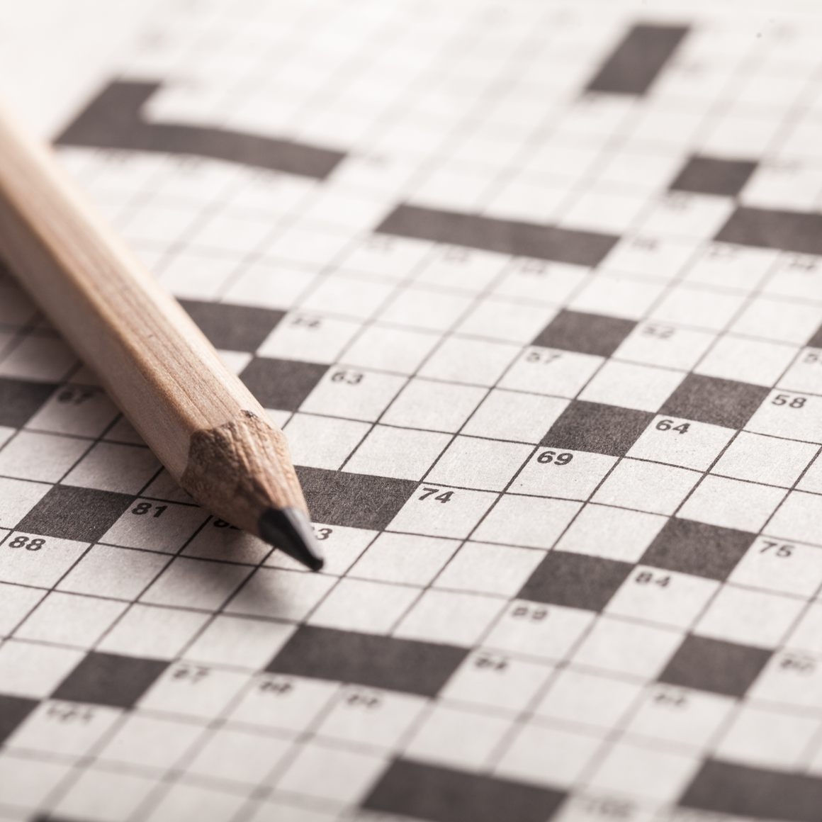 Creating Crossword Puzzles With Brooke Husic Natan Last Atlas 