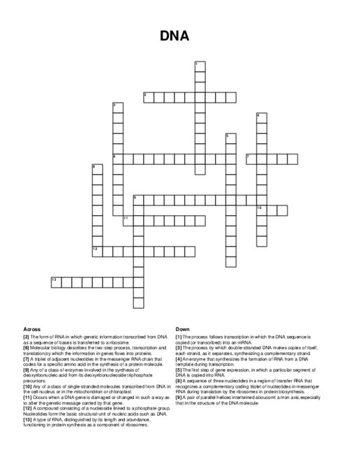 DNA Crossword Puzzle