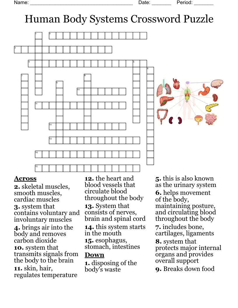 Ergonomics Crossword Puzzle Answers Prntbl concejomunicipaldechinu gov co