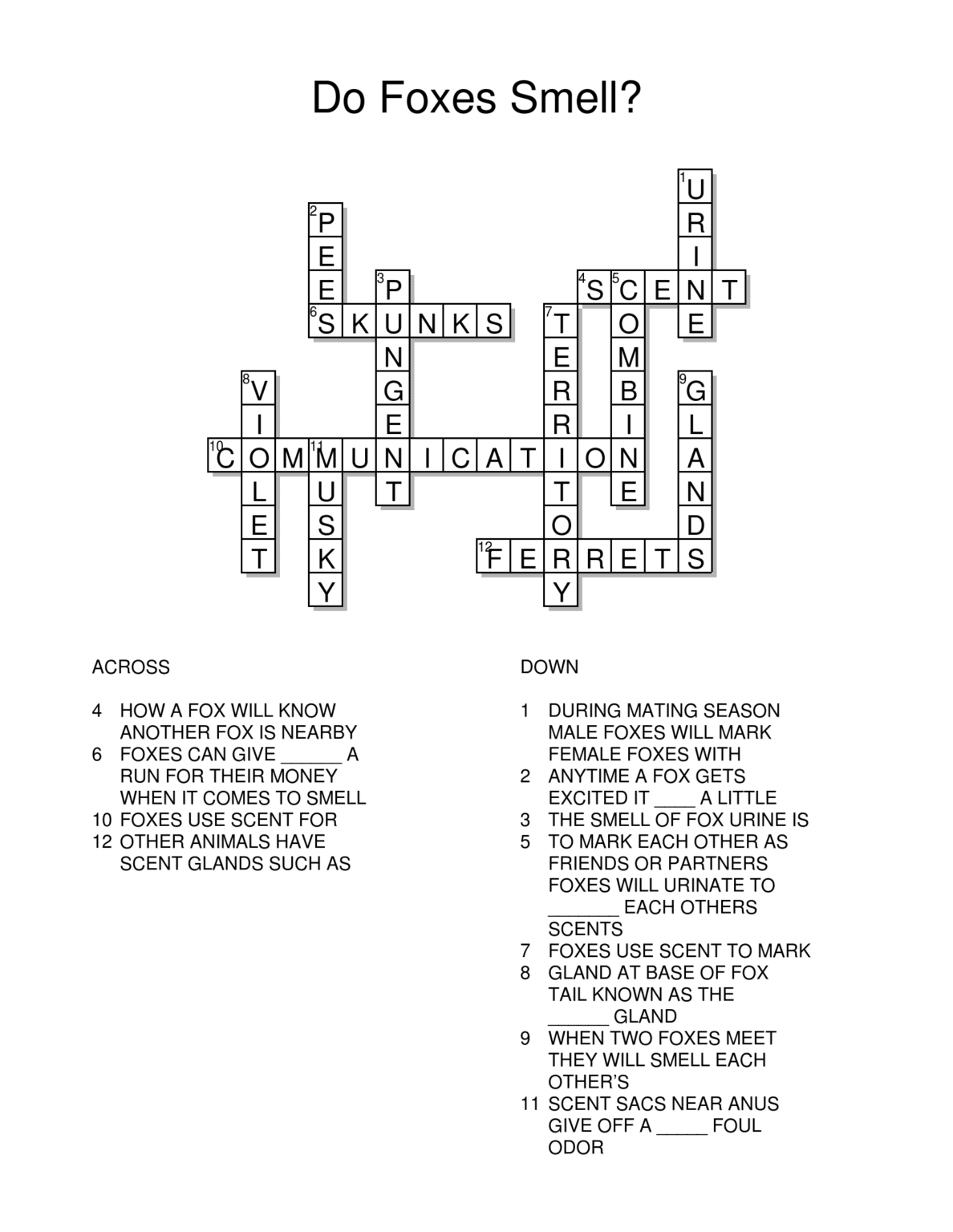 Fox Crossword Answers All Things Foxes Fox Crossword Puzzles