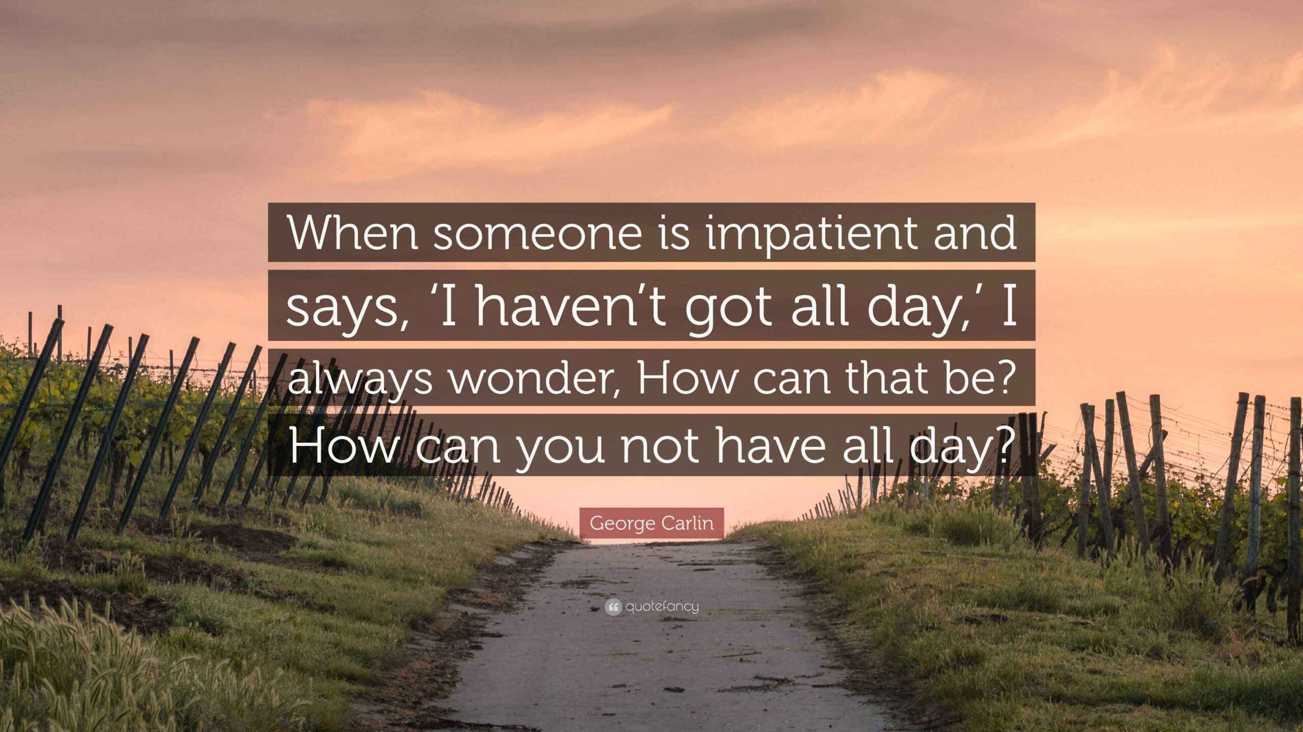 George Carlin Quote When Someone Is Impatient And Says I Haven t 