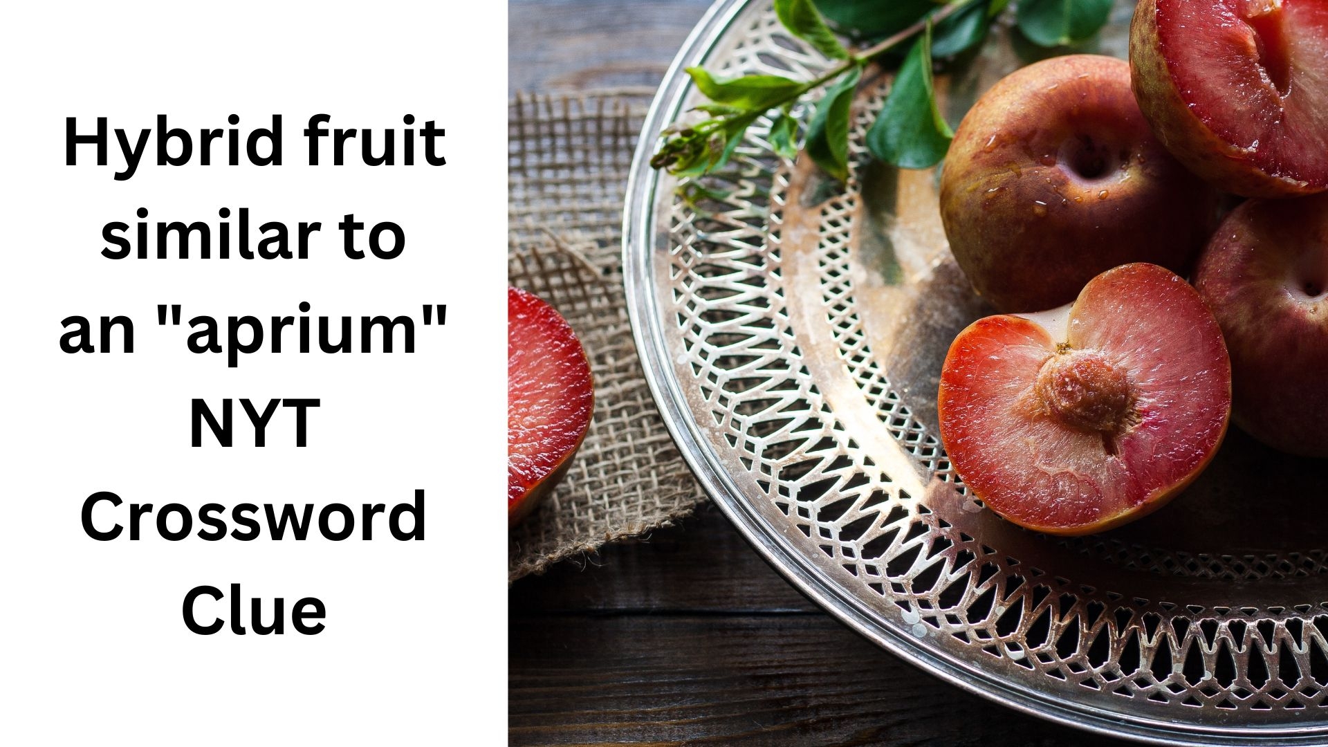 Hybrid Fruit Similar To An quot aprium quot NYT Crossword Clue