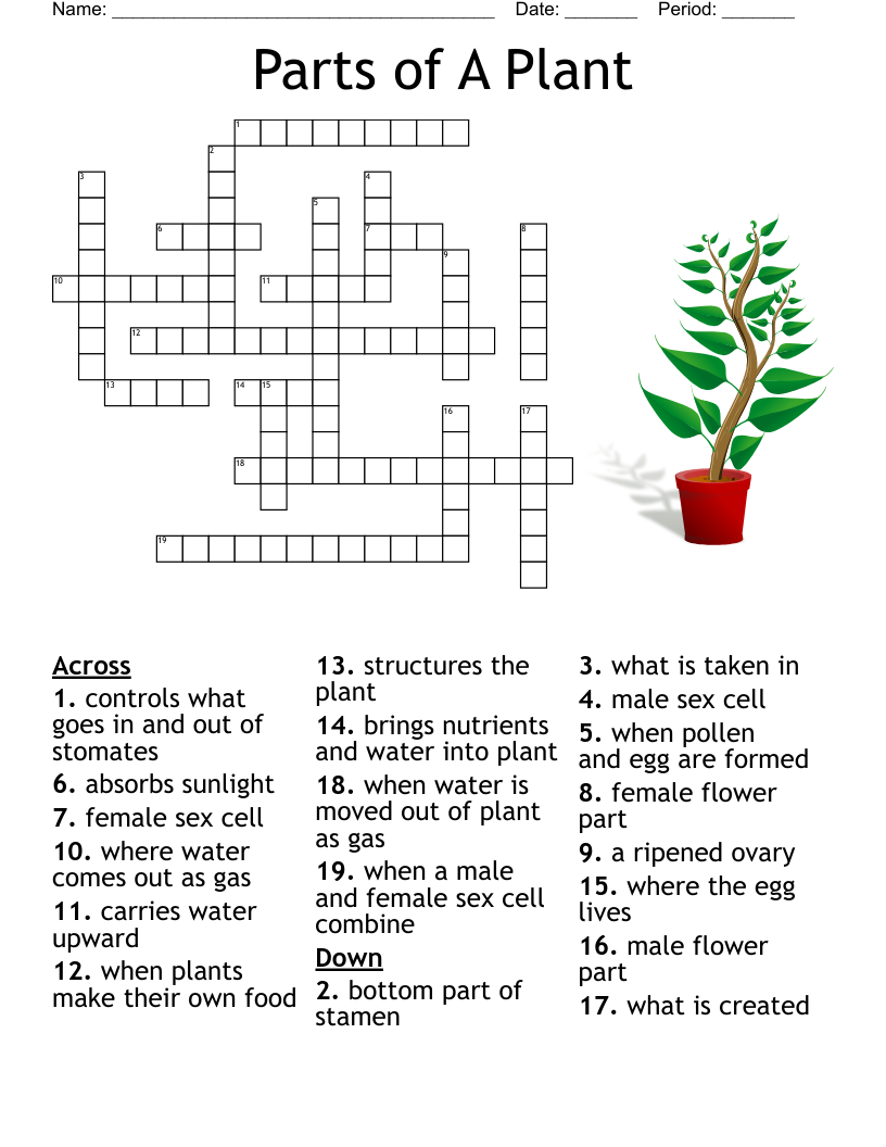 Male Flower Part Crossword Puzzle Clue Best Flower Site