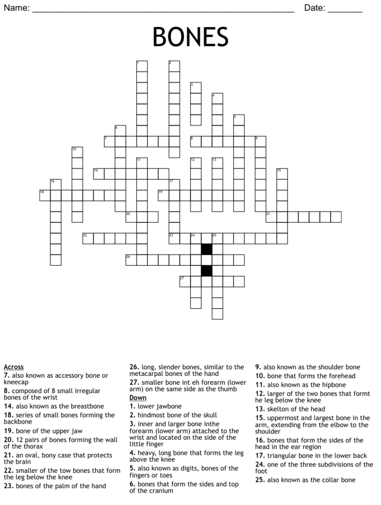 Printable Skeletal System Crossword Puzzle Free Crossword Puzzles 