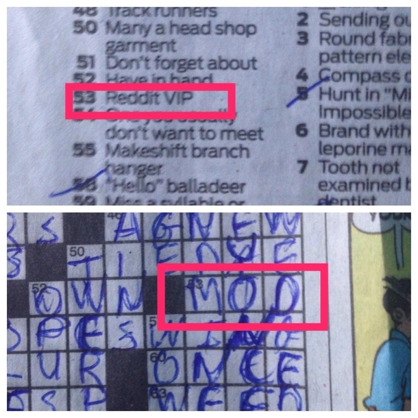 Reddit Made It To My Local Papers Crossword Meme Guy