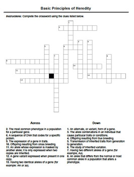 Basic Principles Of Heredity Vocabulary Crossword By Genetically Inclined