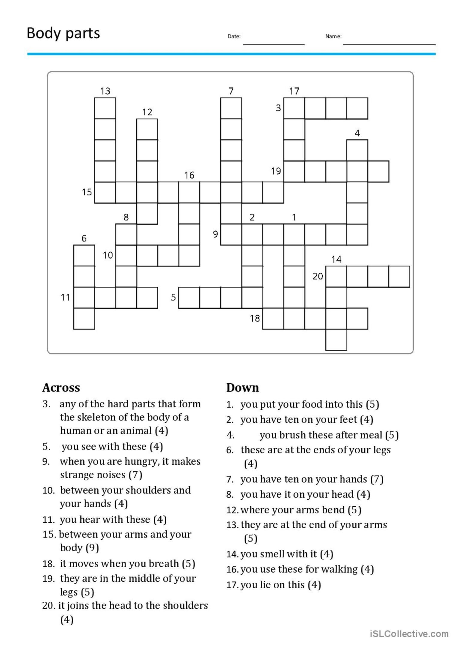 Body Parts Crossword Crossword English ESL Worksheets Pdf Doc