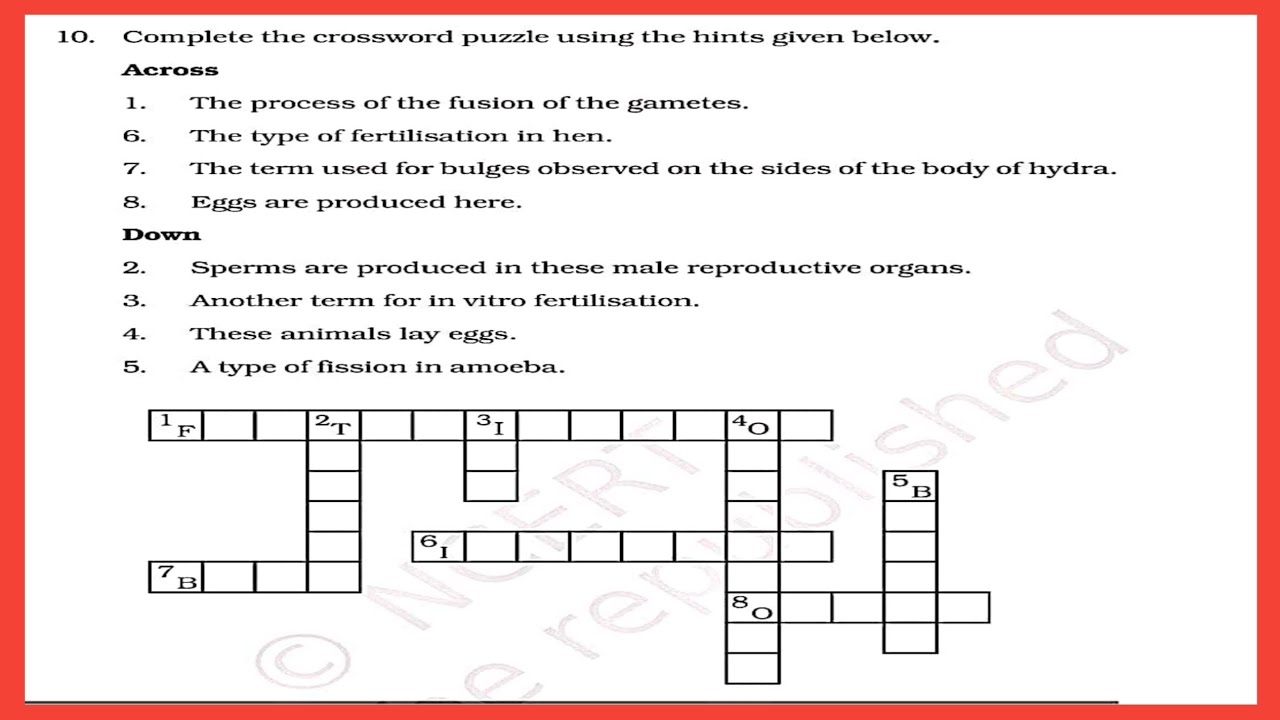 Complete The Crossword Puzzle Using The Hints Given Below Class 8 