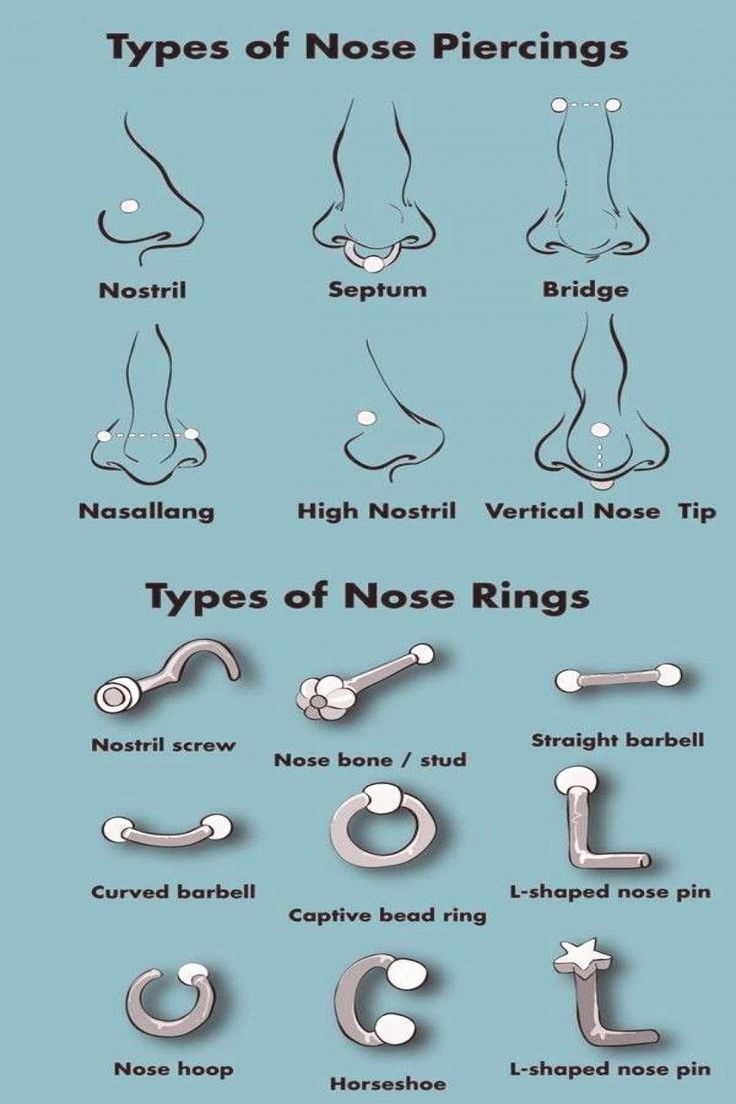 Different Nose Shapes And Names Saadnumber