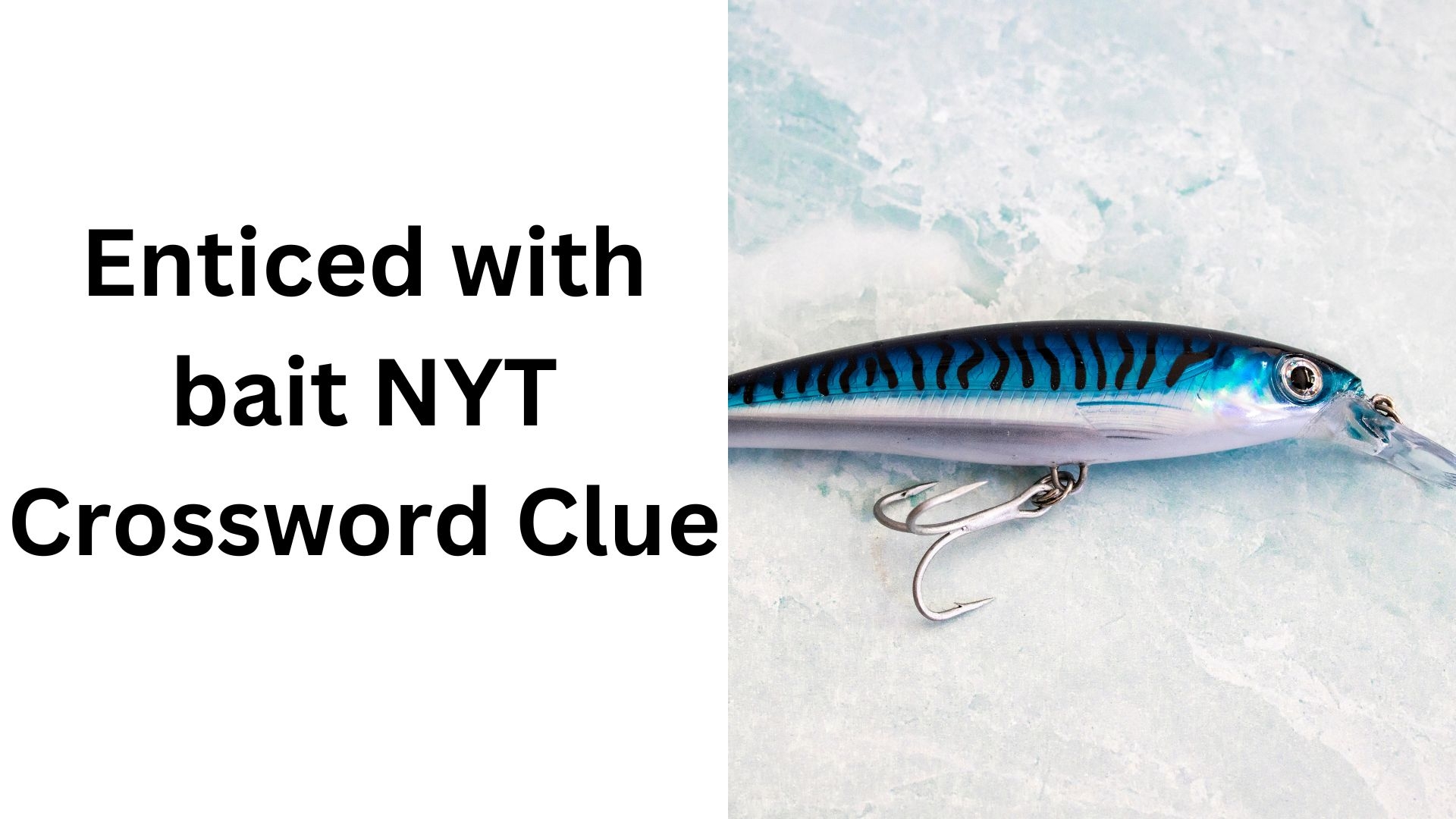 Enticed With Bait NYT Crossword Clue