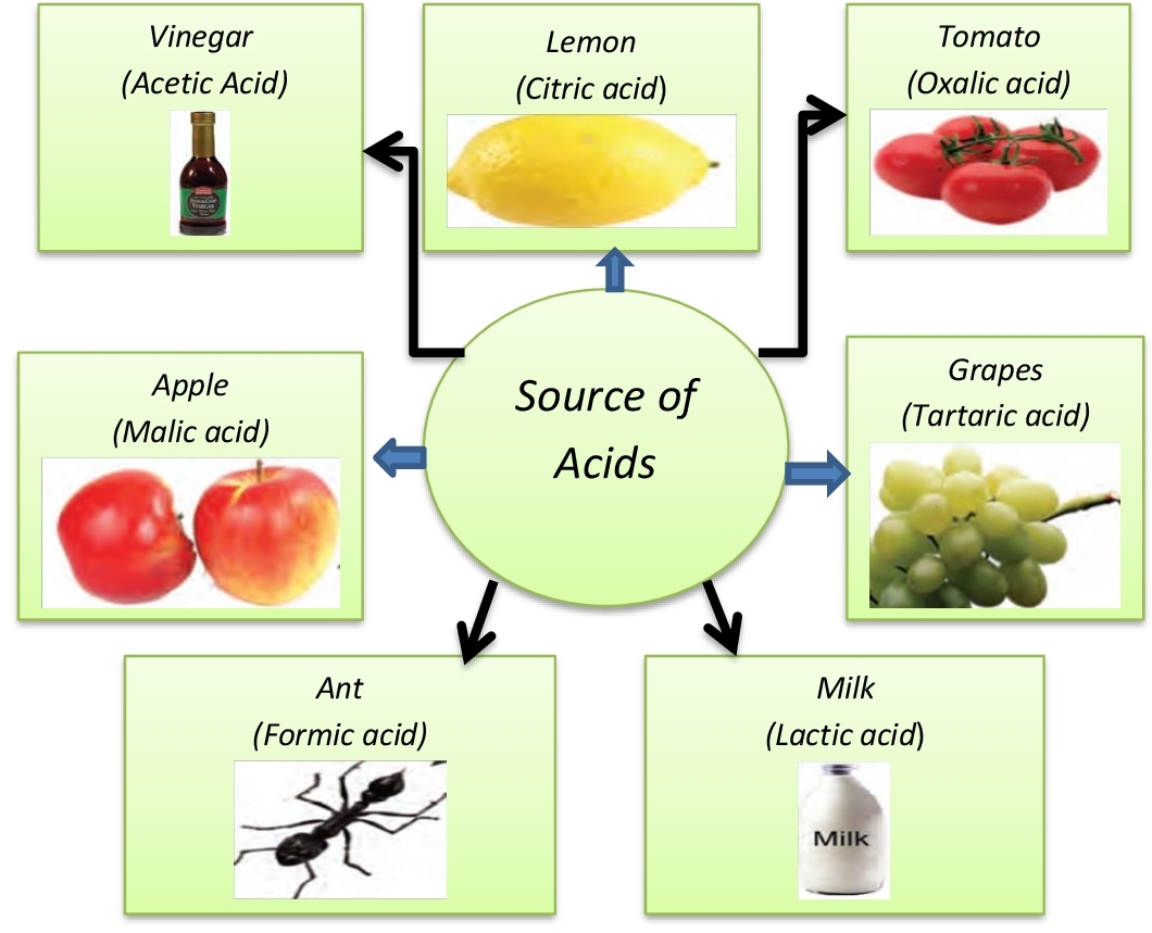 Formic Acid Sources Crossword Prntbl concejomunicipaldechinu gov co
