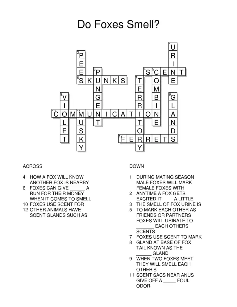 Fox Crossword Answers All Things Foxes Fox Crossword Puzzles