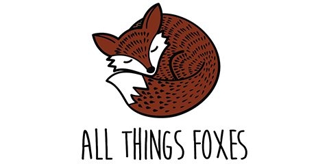 Fox Crossword Answers All Things Foxes Fox Crossword Puzzles