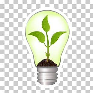 Green Drop Leaf PNG Clipart 3d Computer Graphics Adobe Illustrator 