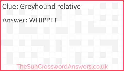 Greyhound Relative Crossword Clue TheSunCrosswordAnswers co uk