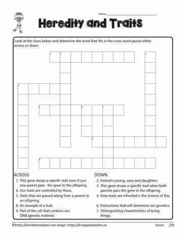 Heredity Trait Crossword Worksheets