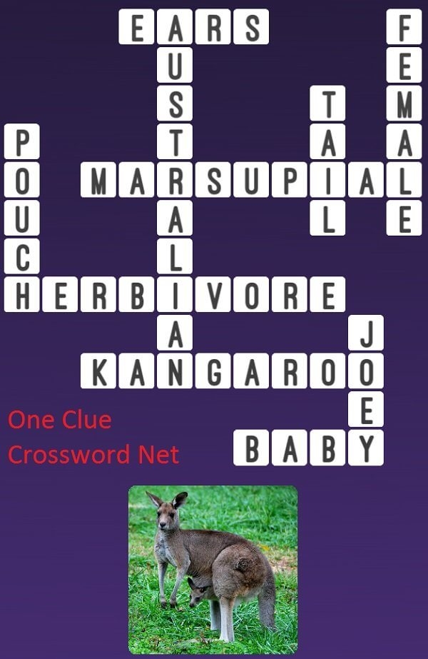 Kangaroo One Clue Crossword Cheats