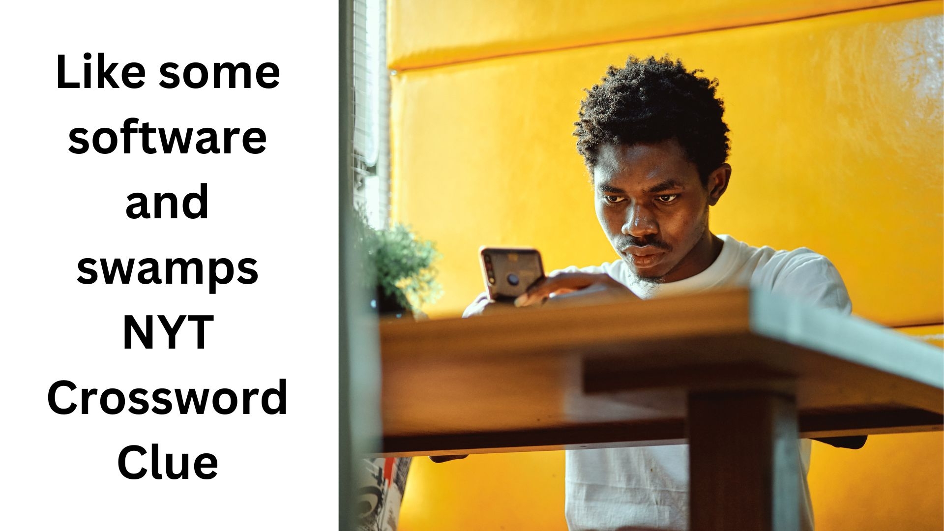 Like Some Software And Swamps NYT Crossword Clue