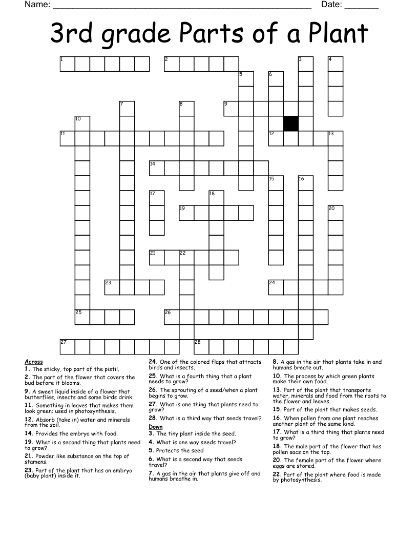 Male Flower Part Crossword Puzzle Clue Best Flower Site