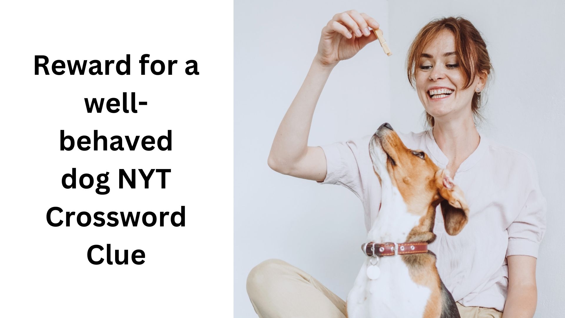 Reward For A Well behaved Dog NYT Crossword Clue