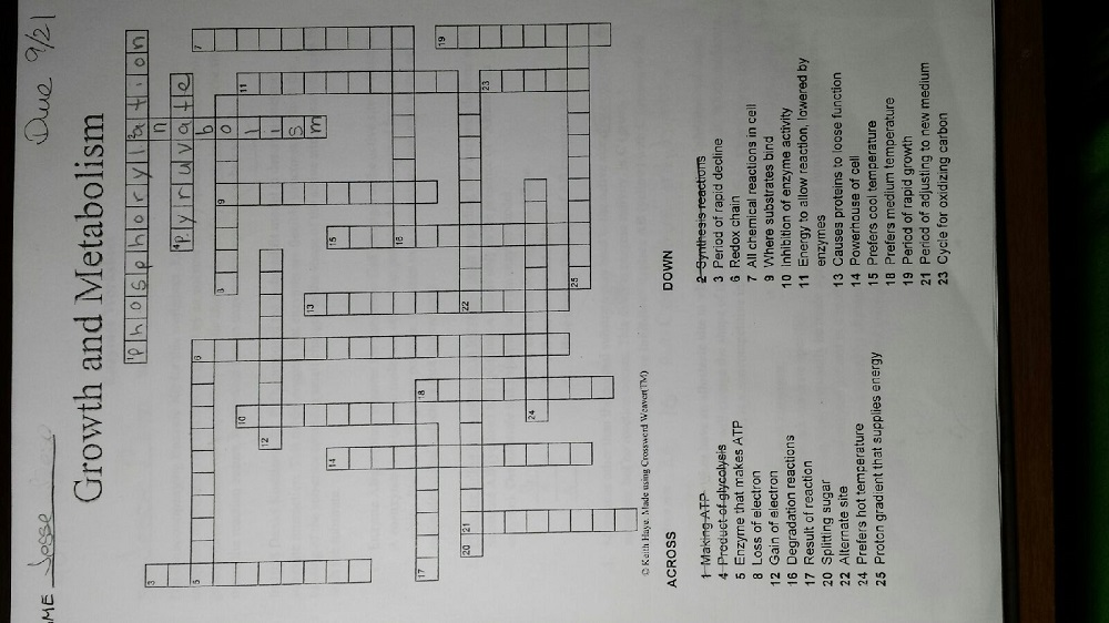 Solved Biology Crossword Puzzle Help Please Enzyme Chegg