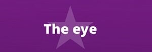 The Eye Bonus Puzzle Get Answers For One Clue Crossword Now