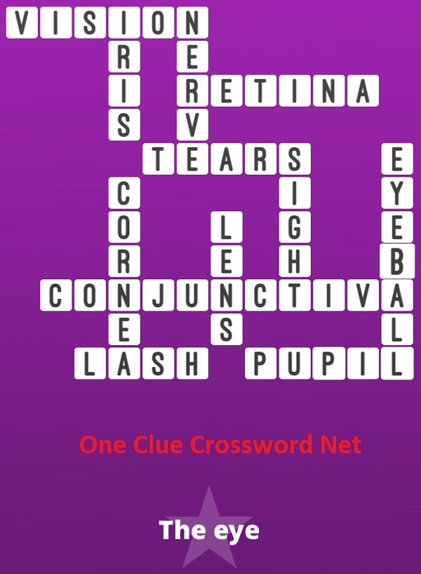 The Eye Bonus Puzzle Get Answers For One Clue Crossword Now