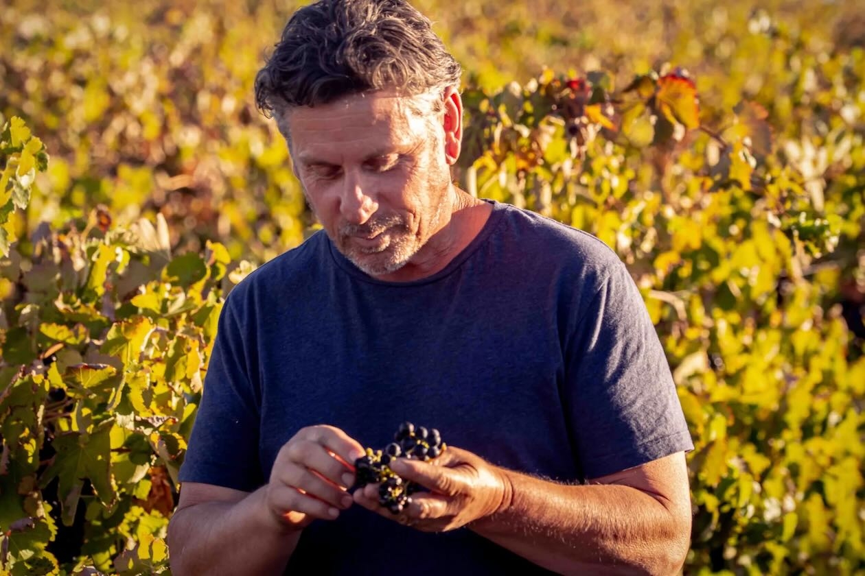 The Italian Uber alternative Turning Heads Wine Journalist Tony Love