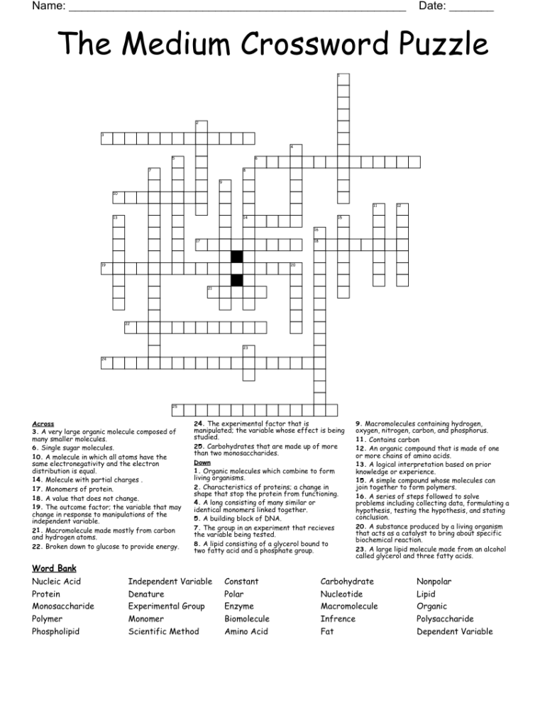 Crossword Puzzles Medium Free Printable Crosswords Crossword puzzles medium free printable crosswords