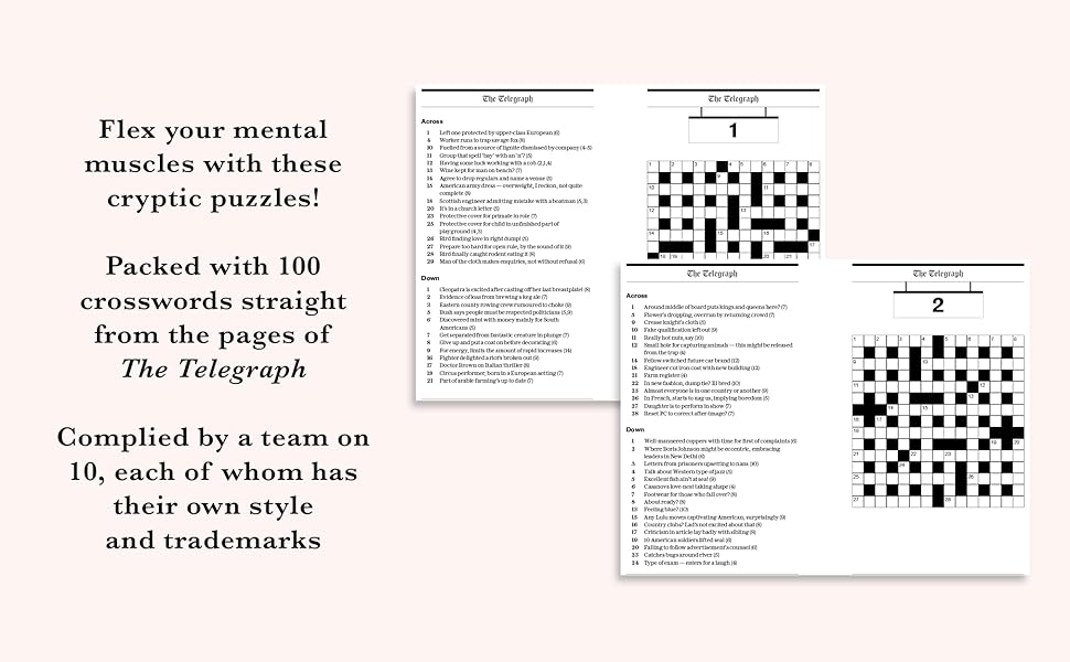 The Telegraph Cryptic Crosswords 12 Amazon co uk Telegraph Media 