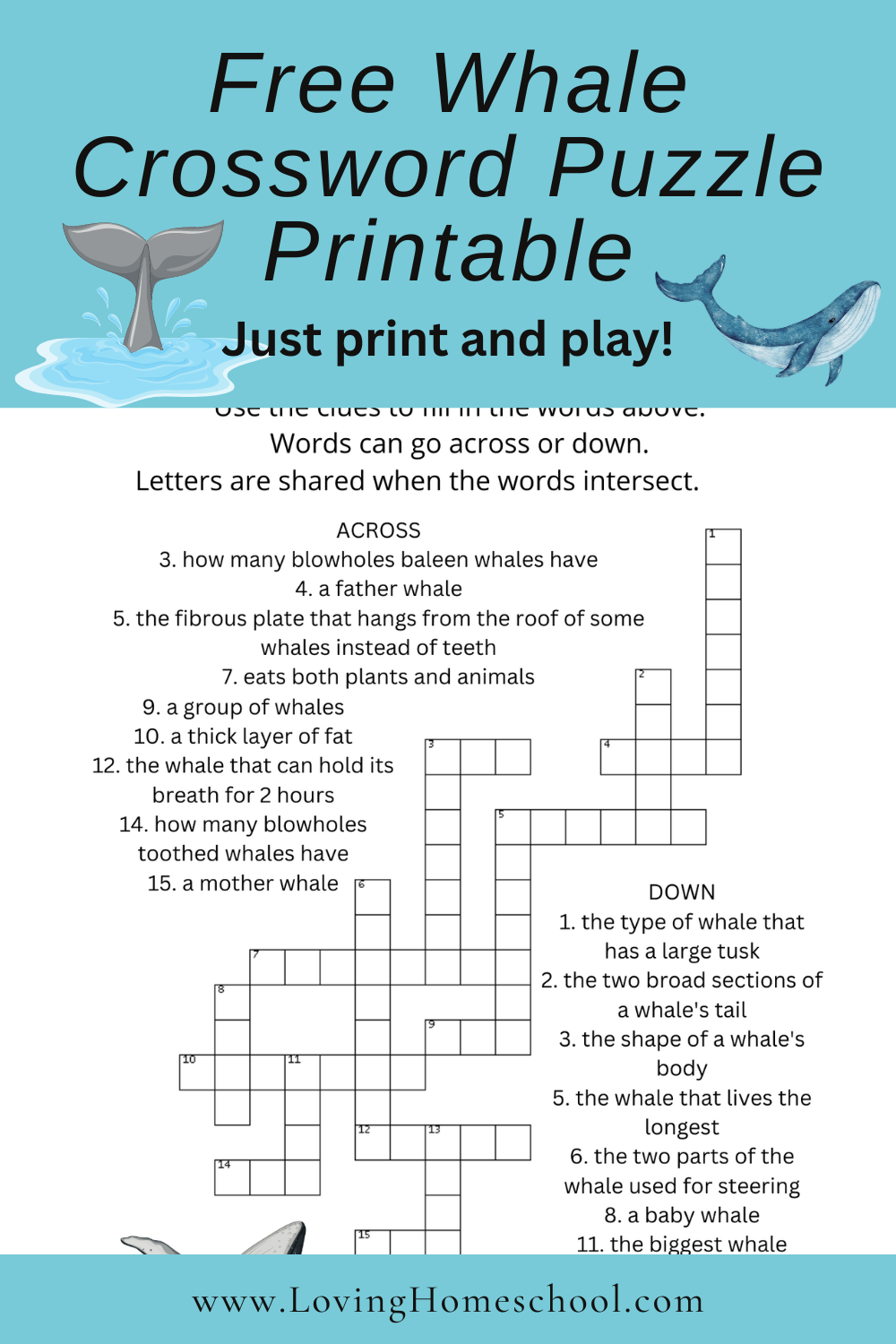 Free Whale Crossword Puzzle LovingHomeschool
