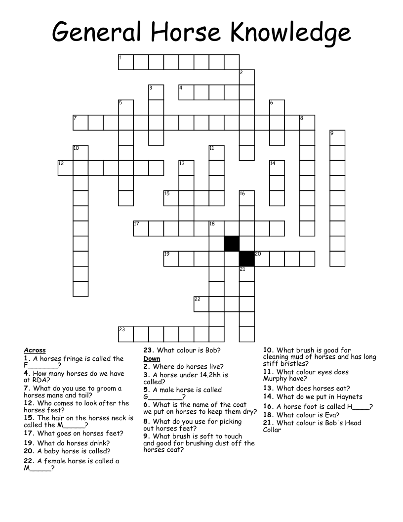 General Horse Knowledge Crossword WordMint