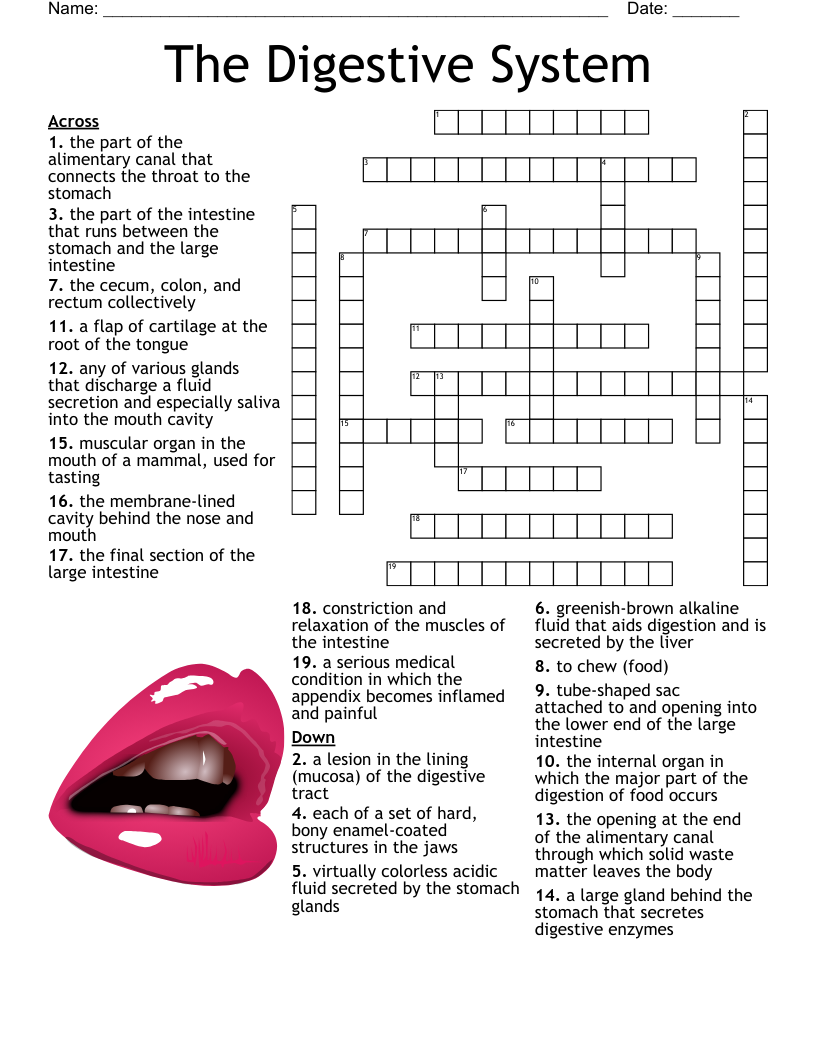 General Knowledge Crossword WordMint
