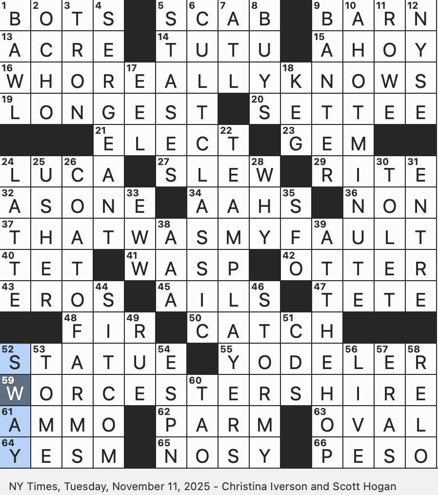 Rex Parker Does The NYT Crossword Puzzle 2025
