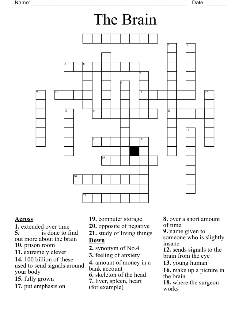 The Brain Crossword WordMint