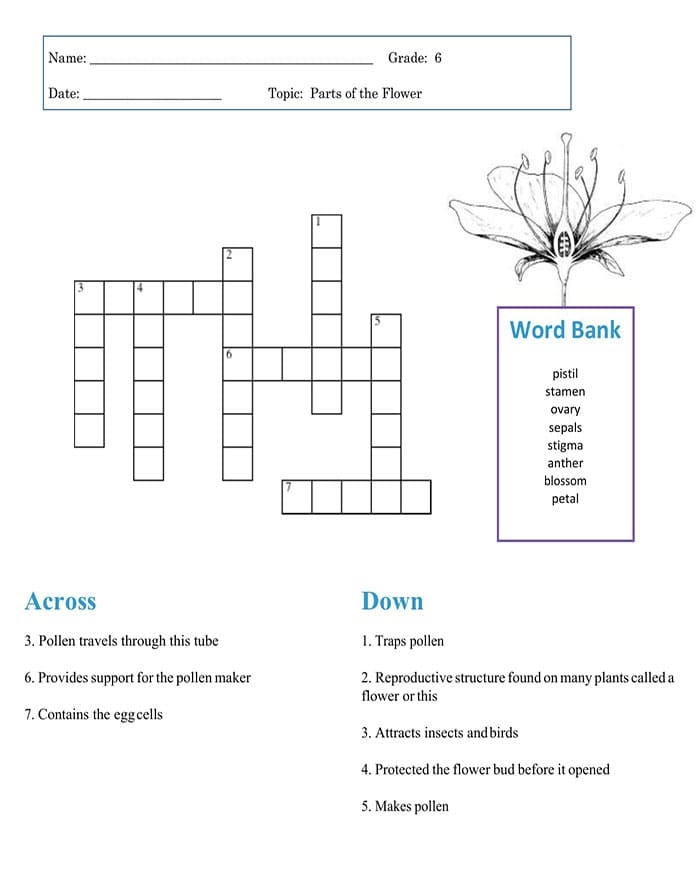Printable Easy Crossword Puzzles Worksheets Free Download And Print 